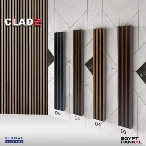طنطا-بانل-32